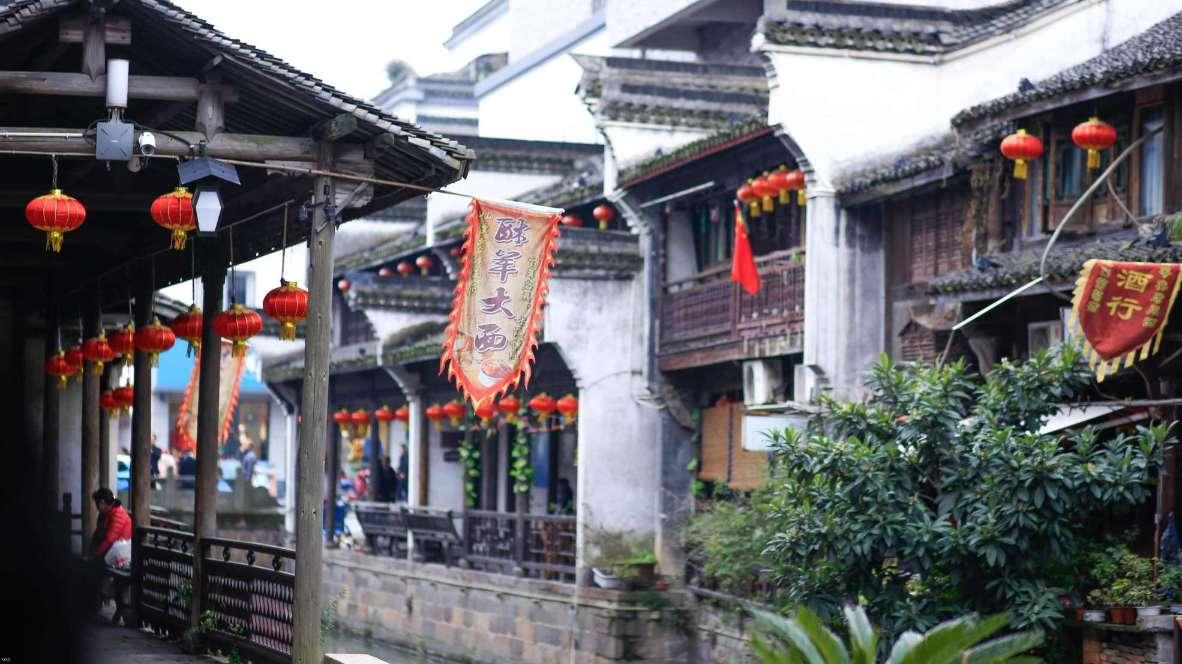 受困的西红柿